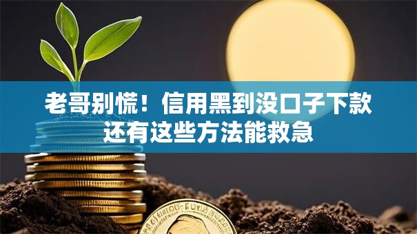 老哥别慌！信用黑到没口子下款还有这些方法能救急