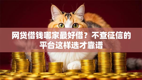 网贷借钱哪家最好借？不查征信的平台这样选才靠谱