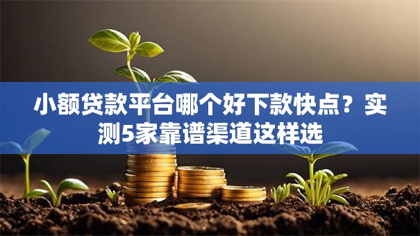小额贷款平台哪个好下款快点？实测5家靠谱渠道这样选