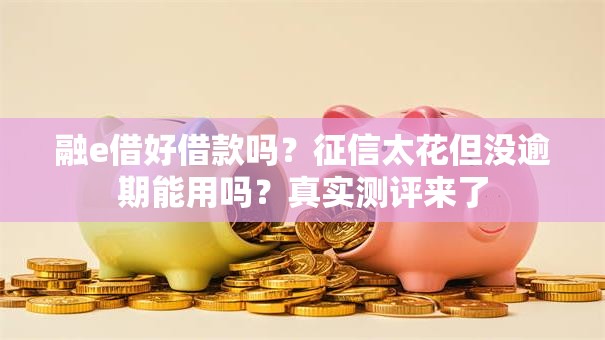 融e借好借款吗？征信太花但没逾期能用吗？真实测评来了