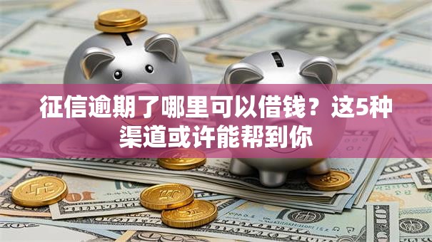 征信逾期了哪里可以借钱？这5种渠道或许能帮到你