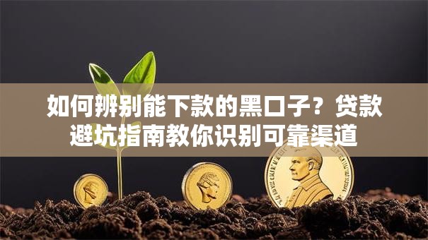 如何辨别能下款的黑口子？贷款避坑指南教你识别可靠渠道