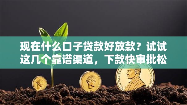 现在什么口子贷款好放款？试试这几个靠谱渠道，下款快审批松！