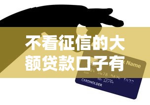 不看征信的大额贷款口子有哪些？真实情况深度剖析