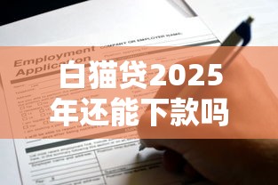 白猫贷2025年还能下款吗？最新审核条件+申请攻略全解析