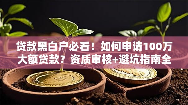 贷款黑白户必看！如何申请100万大额贷款？资质审核+避坑指南全解析