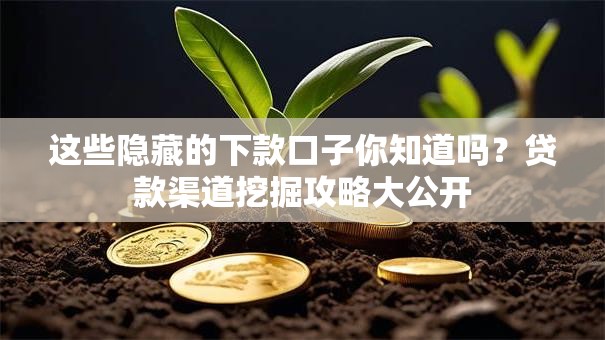 这些隐藏的下款口子你知道吗？贷款渠道挖掘攻略大公开