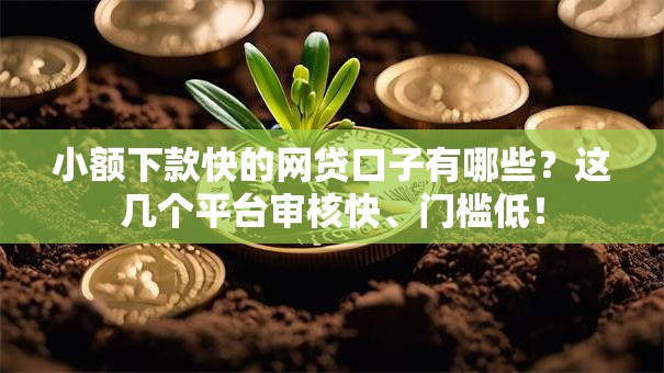 小额下款快的网贷口子有哪些？这几个平台审核快、门槛低！