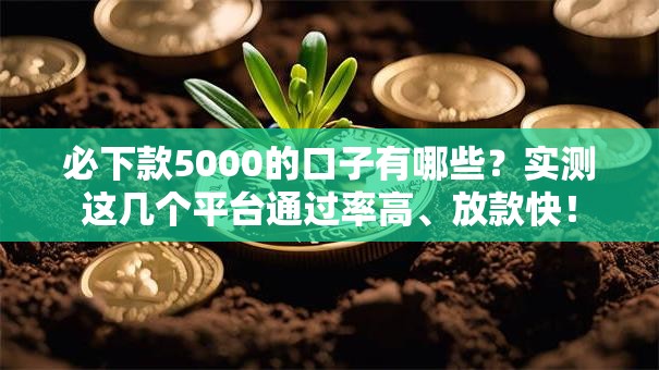 必下款5000的口子有哪些？实测这几个平台通过率高、放款快！