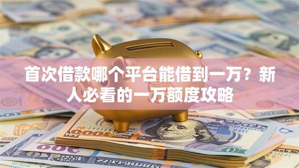 首次借款哪个平台能借到一万？新人必看的一万额度攻略