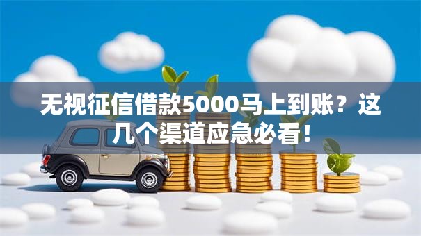 无视征信借款5000马上到账？这几个渠道应急必看！