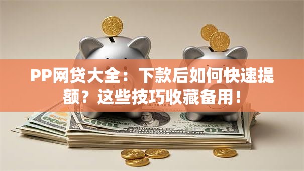 PP网贷大全：下款后如何快速提额？这些技巧收藏备用！