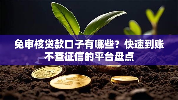 免审核贷款口子有哪些？快速到账不查征信的平台盘点