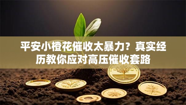 平安小橙花催收太暴力？真实经历教你应对高压催收套路