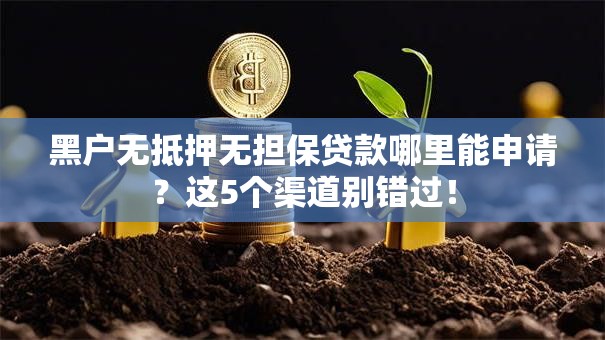 黑户无抵押无担保贷款哪里能申请？这5个渠道别错过！