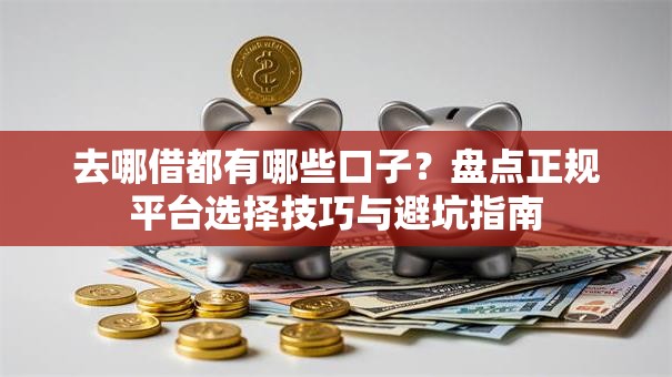 去哪借都有哪些口子？盘点正规平台选择技巧与避坑指南