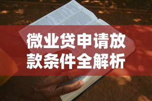 微业贷申请放款条件全解析，这篇干货教你轻松过审！