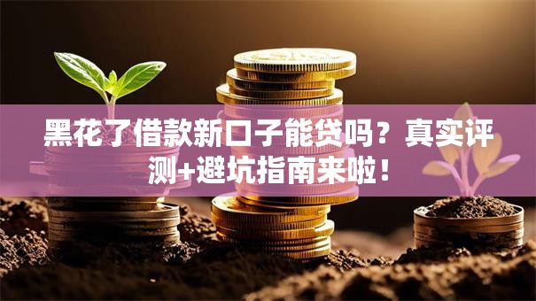 黑花了借款新口子能贷吗？真实评测+避坑指南来啦！