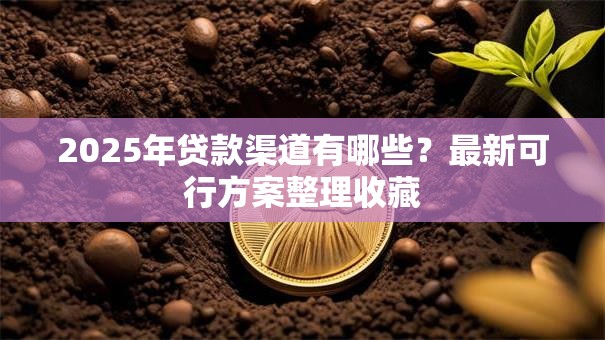 2025年贷款渠道有哪些？最新可行方案整理收藏