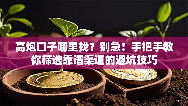 高炮口子哪里找？别急！手把手教你筛选靠谱渠道的避坑技巧
