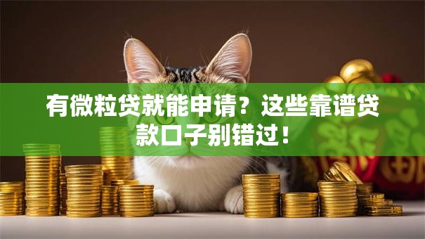 有微粒贷就能申请？这些靠谱贷款口子别错过！