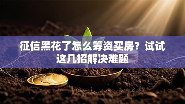 征信黑花了怎么筹资买房？试试这几招解决难题