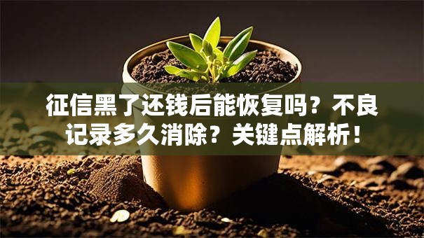 征信黑了还钱后能恢复吗？不良记录多久消除？关键点解析！