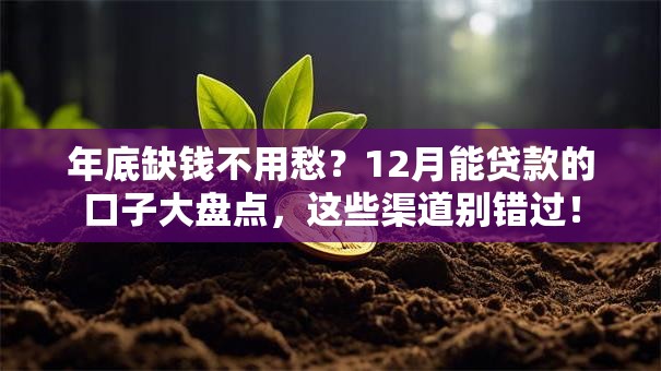年底缺钱不用愁？12月能贷款的口子大盘点，这些渠道别错过！