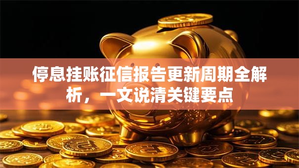 停息挂账征信报告更新周期全解析，一文说清关键要点