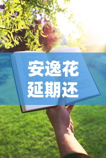 安逸花延期还款攻略：手把手教你灵活缓解资金压力