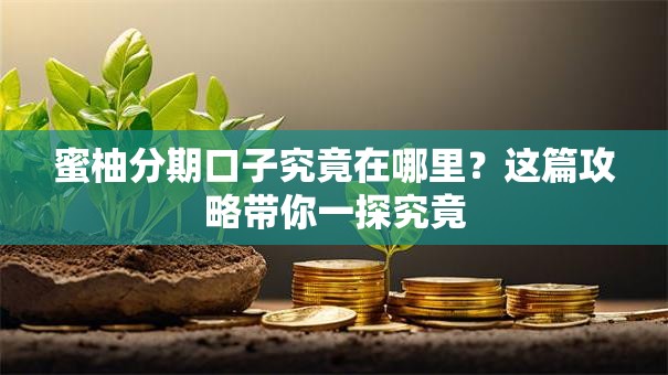 蜜柚分期口子究竟在哪里？这篇攻略带你一探究竟