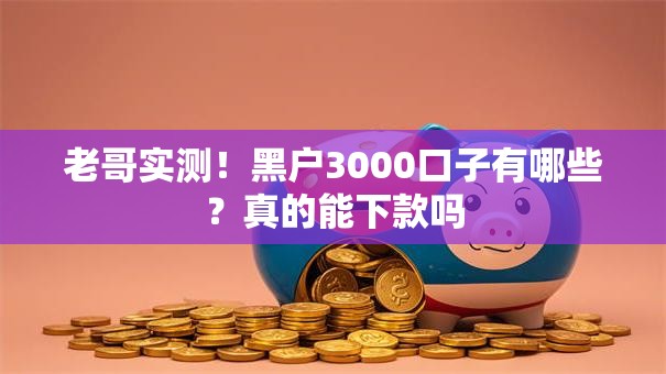 老哥实测！黑户3000口子有哪些？真的能下款吗