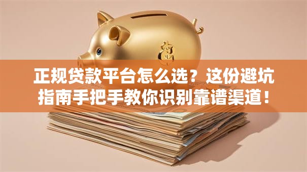 正规贷款平台怎么选？这份避坑指南手把手教你识别靠谱渠道！