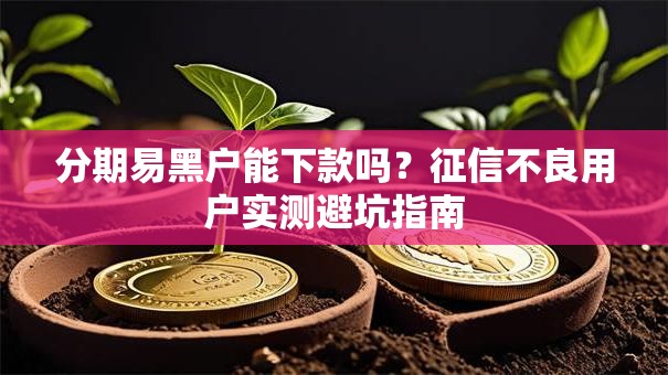 分期易黑户能下款吗？征信不良用户实测避坑指南
