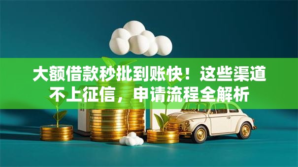 大额借款秒批到账快！这些渠道不上征信，申请流程全解析