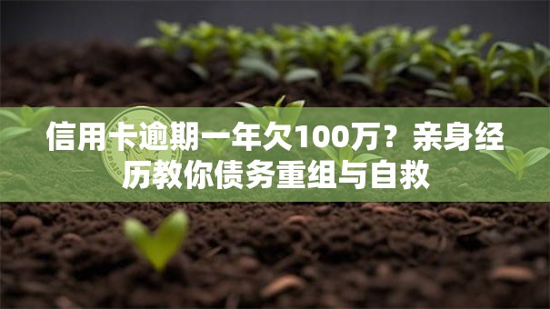 信用卡逾期一年欠100万？亲身经历教你债务重组与自救