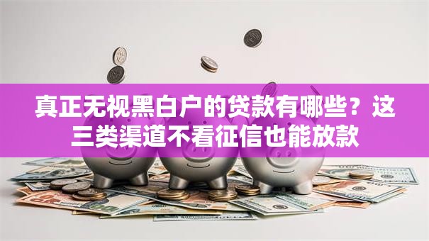 真正无视黑白户的贷款有哪些？这三类渠道不看征信也能放款