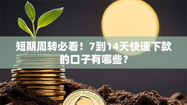 短期周转必看！7到14天快速下款的口子有哪些？