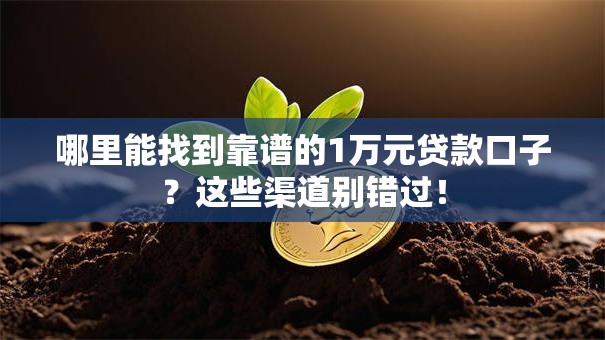 哪里能找到靠谱的1万元贷款口子？这些渠道别错过！