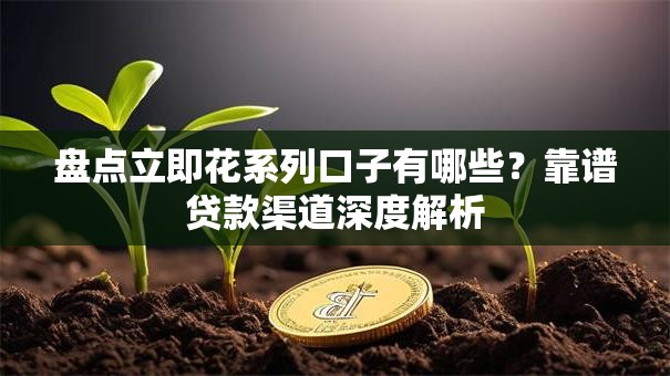 盘点立即花系列口子有哪些？靠谱贷款渠道深度解析