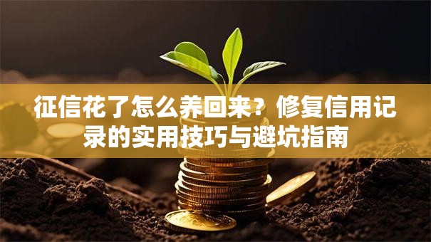 征信花了怎么养回来？修复信用记录的实用技巧与避坑指南