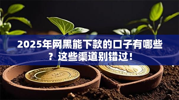 2025年网黑能下款的口子有哪些？这些渠道别错过！