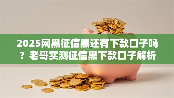 2025网黑征信黑还有下款口子吗？老哥实测征信黑下款口子解析