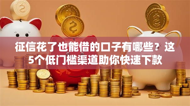 征信花了也能借的口子有哪些？这5个低门槛渠道助你快速下款