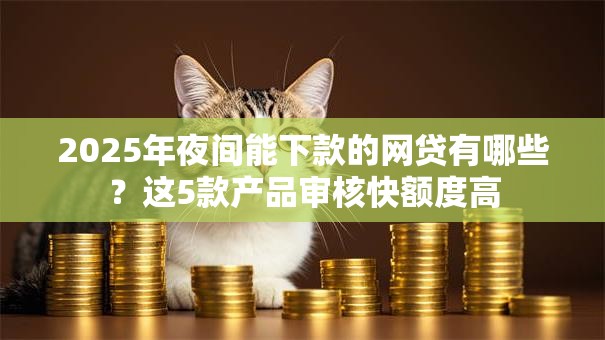 2025年夜间能下款的网贷有哪些？这5款产品审核快额度高