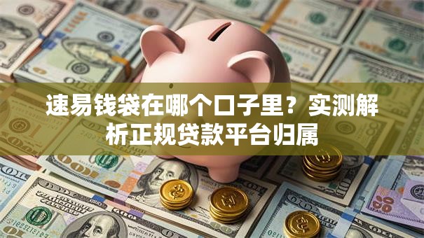 速易钱袋在哪个口子里？实测解析正规贷款平台归属