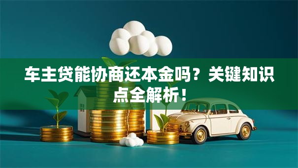 车主贷能协商还本金吗？关键知识点全解析！
