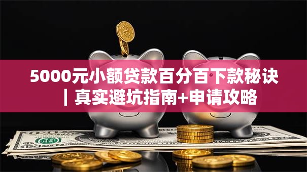 5000元小额贷款百分百下款秘诀｜真实避坑指南+申请攻略