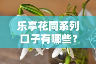 乐享花同系列口子有哪些？这几个靠谱平台值得一试！