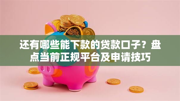 还有哪些能下款的贷款口子？盘点当前正规平台及申请技巧
